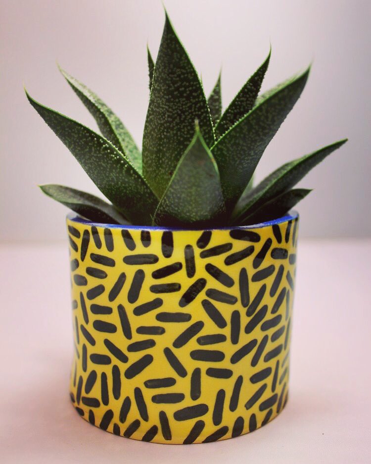 DesignCaledonia's tweet image. Needing to spruce up those cacti and succulents? Give them the home they deserve with these beauties #ceramics
