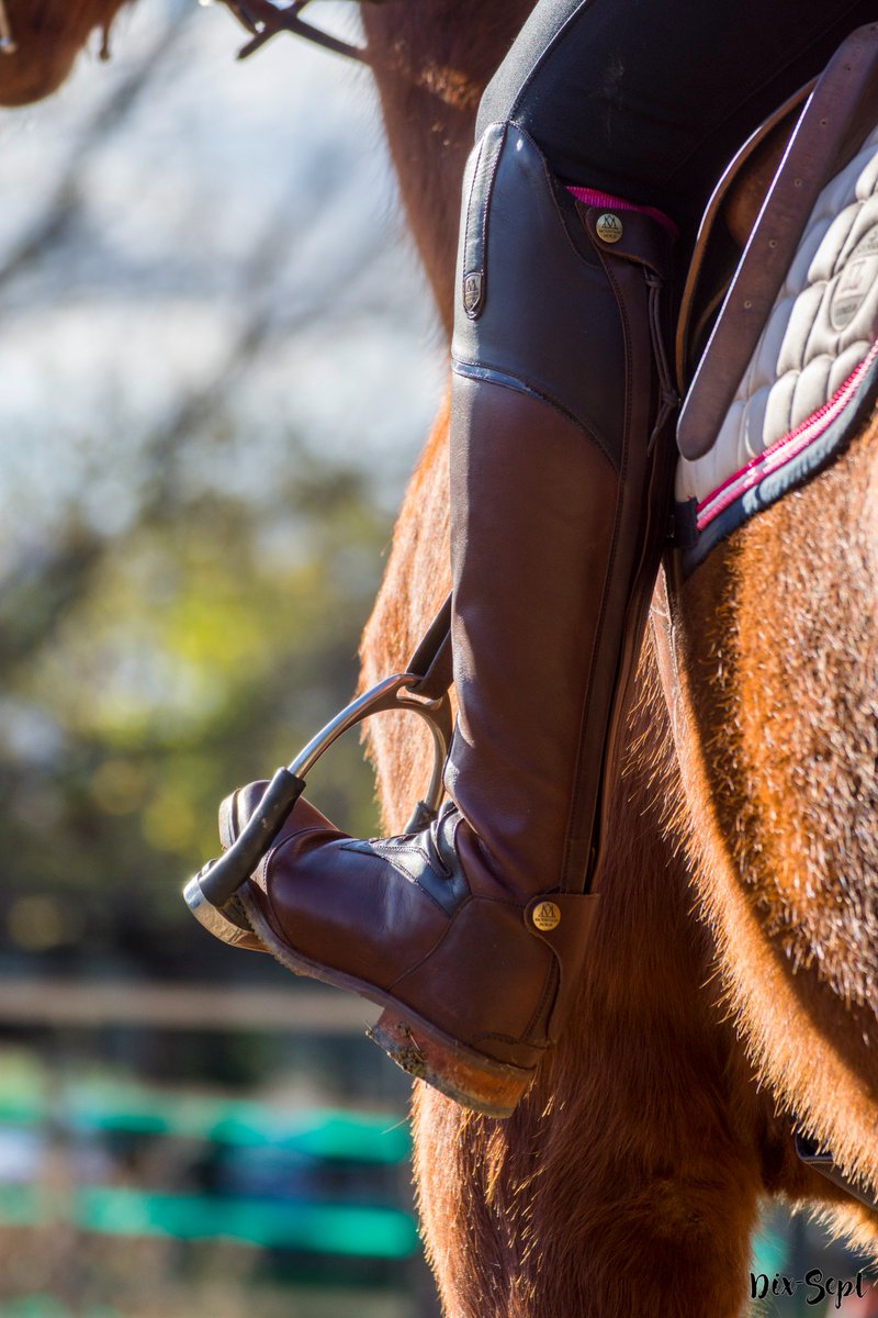 LucetteGardou's tweet photo. https://t.co/4Hg5UnFzyA Testé pour vous : les bottes parfaites @MountainHorseWW https://t.co/VtzhZheiMB