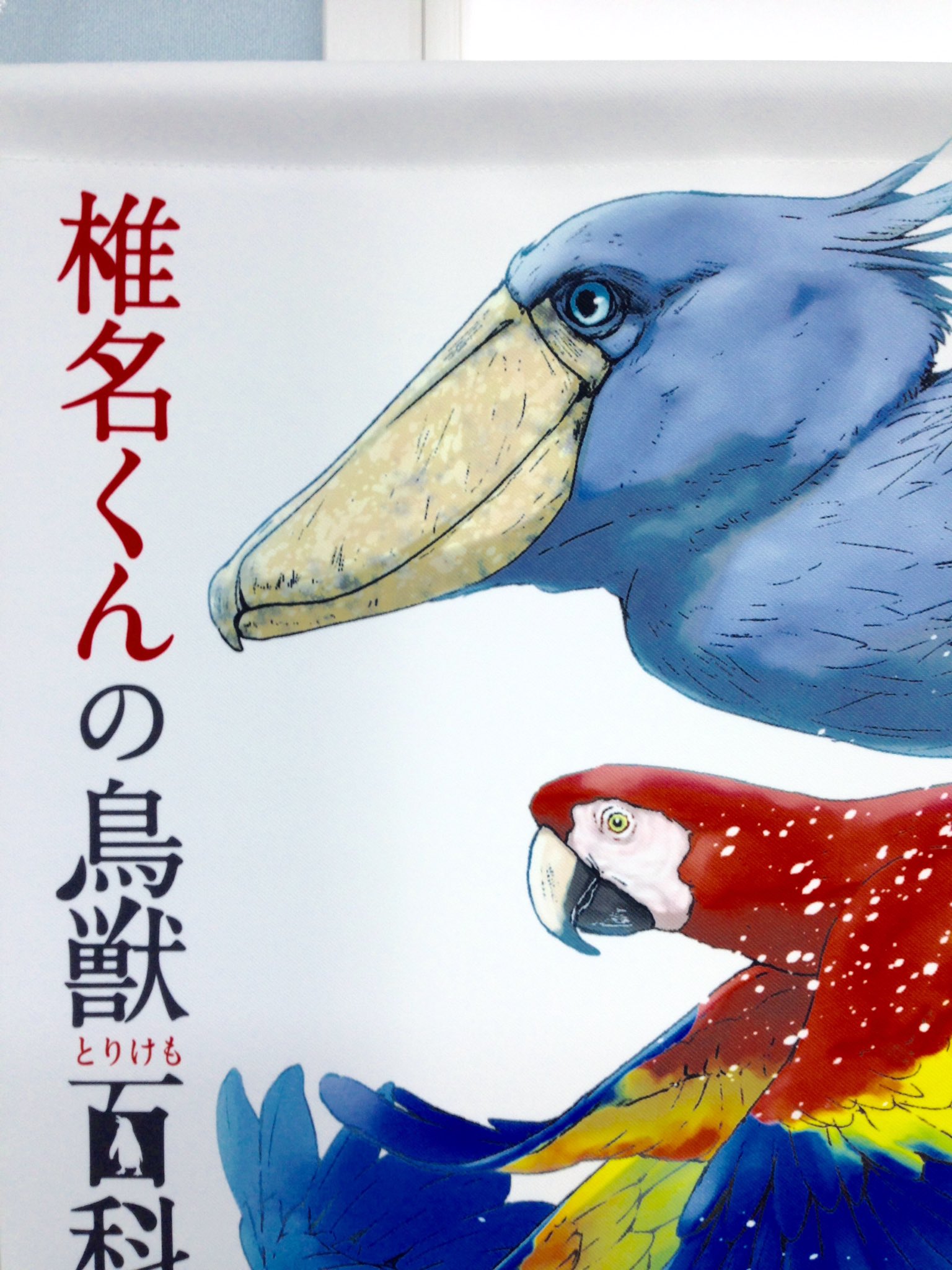 Gate Online Shop 椎名くんの鳥獣百科の初グッズ 届きました ヾ ー ノ 十月士也先生ありがとうございます ハシビロコウの迫力ったら 綺麗にタペストリーになって満足です 是非皆様もうすぐ9巻発売しますので 是非 Gate Online Shop 椎名くんの鳥獣百科の初グッズ 届きました ヾ ー ノ 十月士也先生ありがとうございます ハシビロコウの迫力ったら 綺麗にタペストリーになって満足です 是非皆様もうすぐ9巻発売しますので 是非
