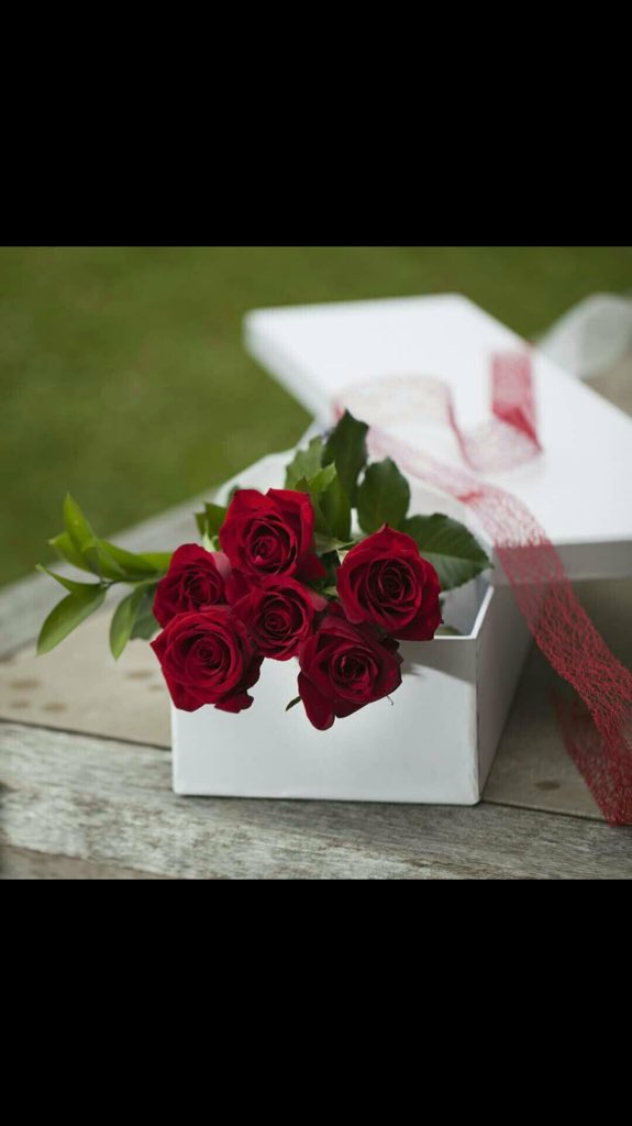 m5ii_i's tweet photo. ينام الورد في حُضنك وفي حضني ينام البرد حبيبي إنت بعد اذنك يصير أخذ مكان الورد 😴 https://t.co/KBd8APxBVH