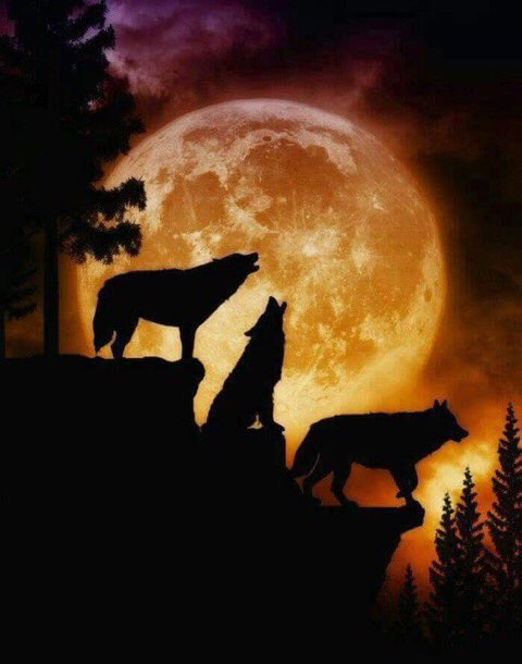 pasina_barbara's tweet photo. https://t.co/kr6rUEa6D3
