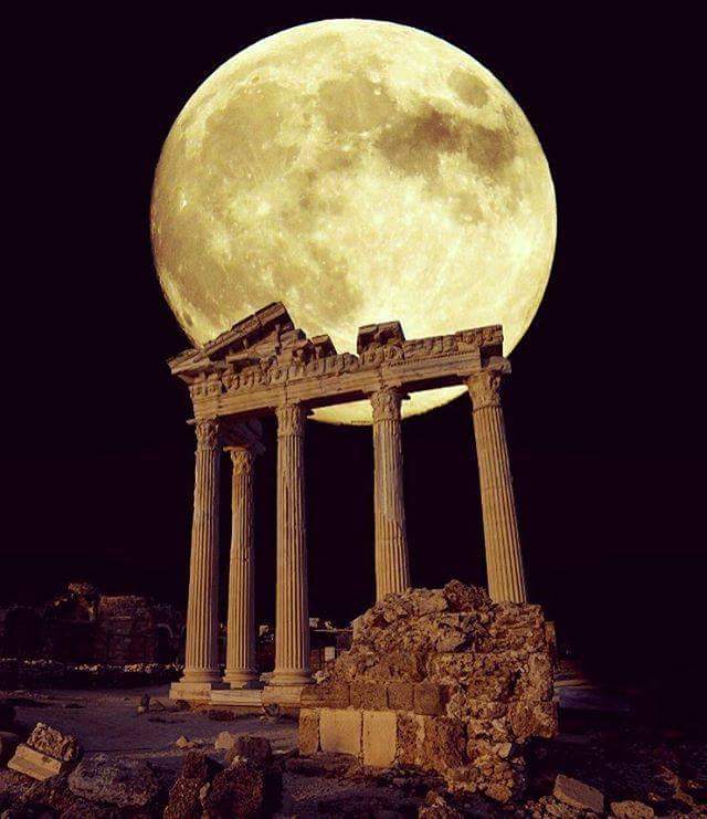 pasina_barbara's tweet photo. https://t.co/EWqW5j7tL8