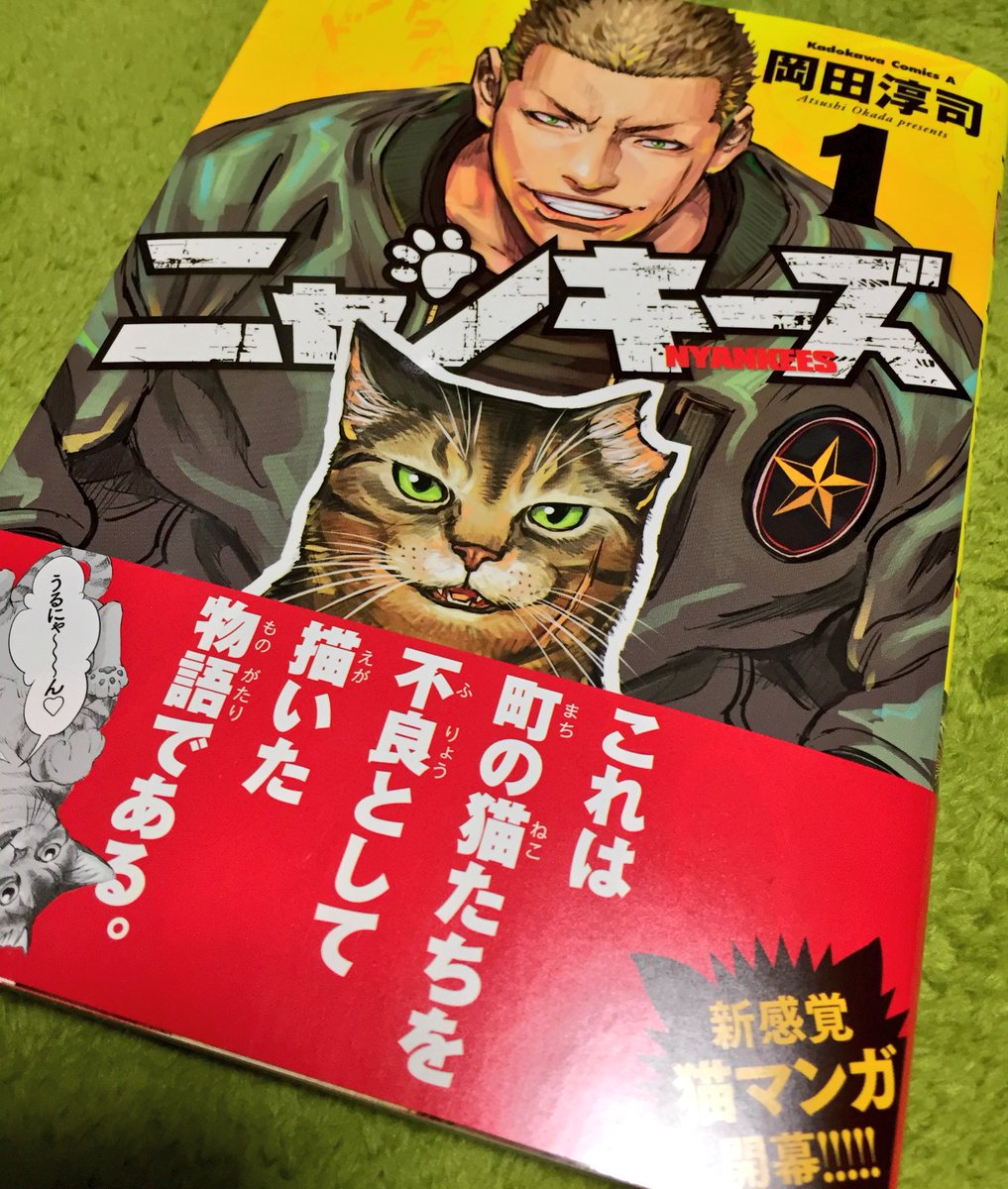 野良猫をヤンキー擬人化した漫画 ニャンキーズ がアツい Togetter