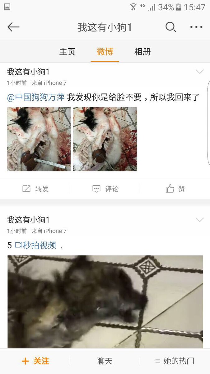 Tong_Yr's tweet photo. @jetli_official @trooopsHQ 就是这个变态💢https://t.co/0Oc2Poriud https://t.co/wsSiYLdjg5