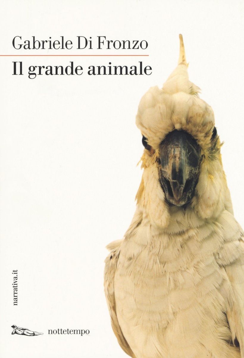 BooksinItaly's tweet photo. "Il grande animale", @nottetempoediz, one of the most original novels published in Italy over the past year https://t.co/DSX4LZj2Eb https://t.co/4GGYy3hQpV