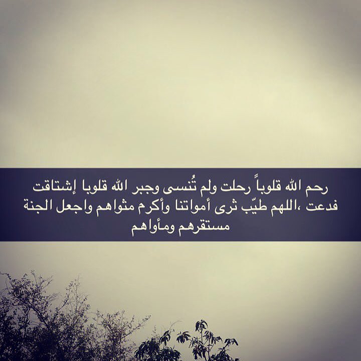 صيبا نافعا يا الله تسقي به الأرض وتشفي به المرضى وتكتب مع كل قطرة منه غفرانا ورحمة للذين سبقونا إليك برحمتك يا الله و بدعوة مستجابة ❤