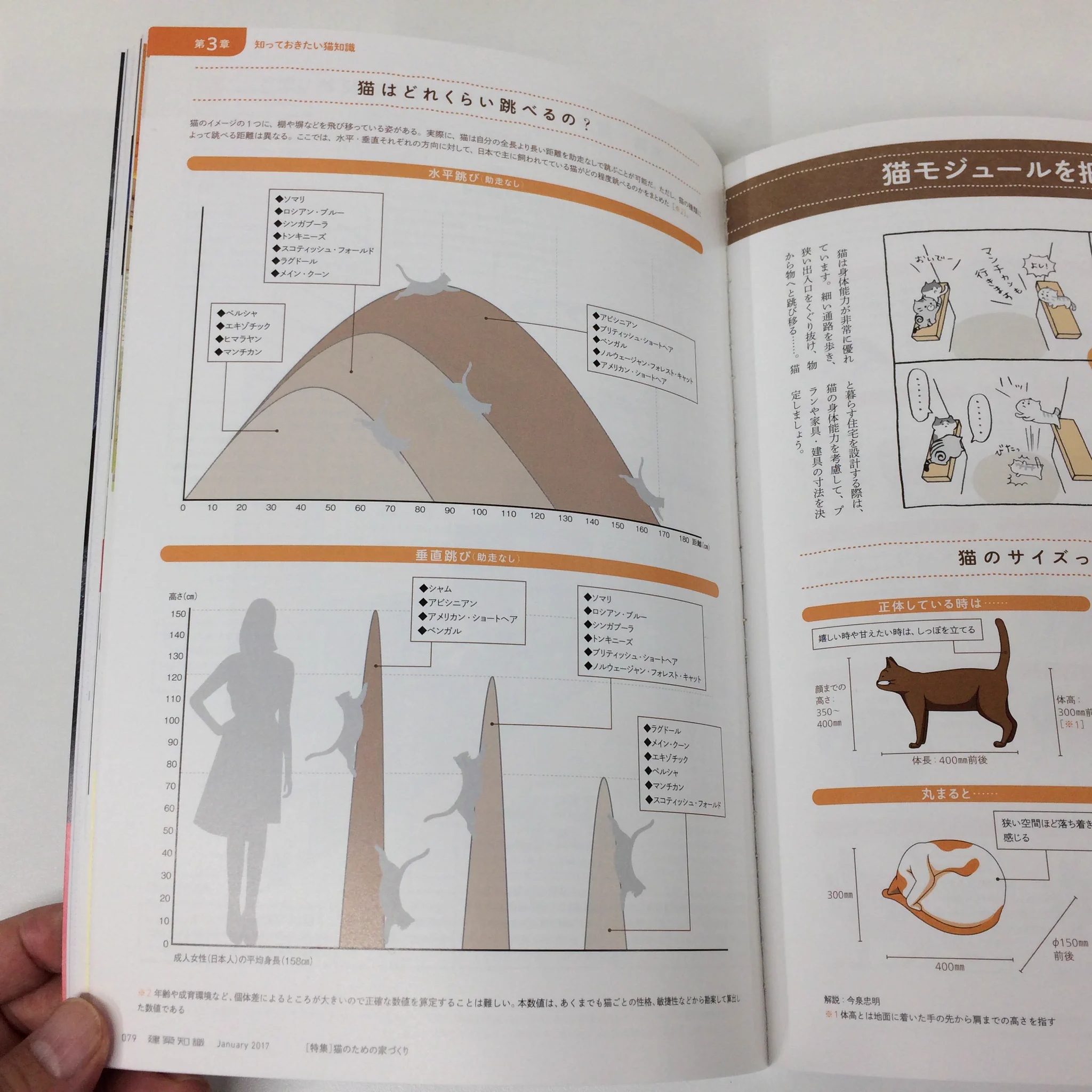 建築知識wネコについての知識多すぎwww