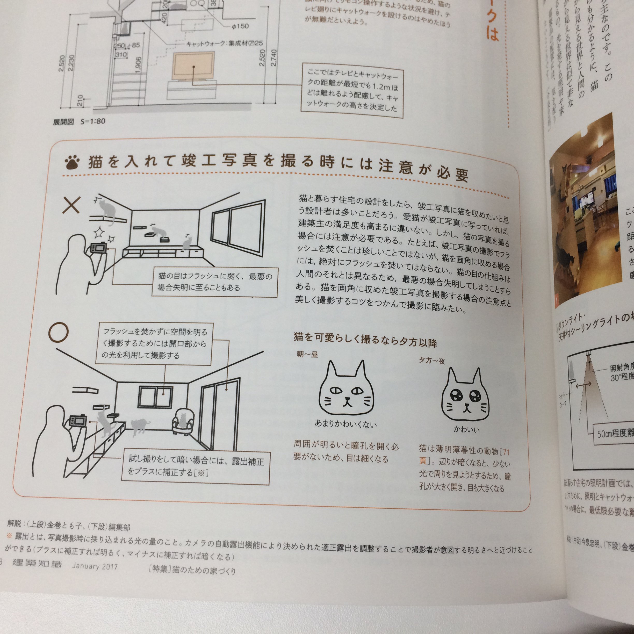 建築知識wネコについての知識多すぎ 話題の画像プラス