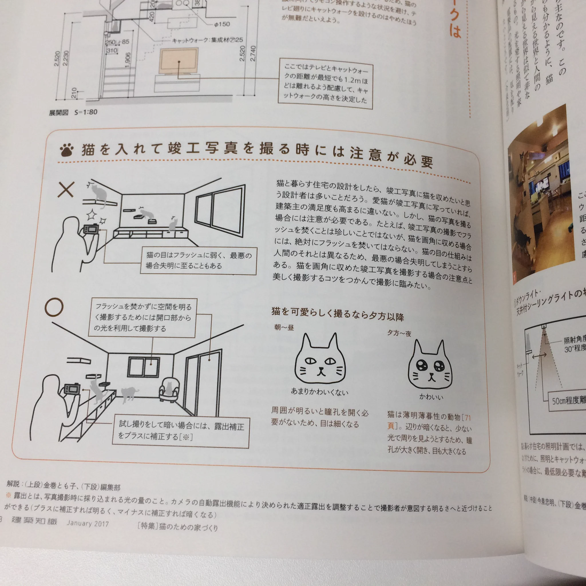 建築知識wネコについての知識多すぎwww