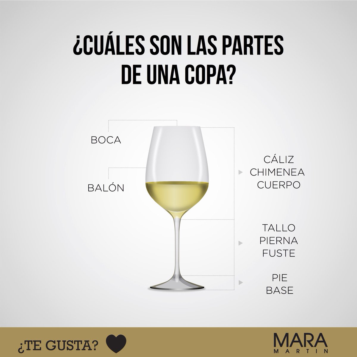 Boca, balón, cáliz, tallo, pie... ¡Cada cosa por su nombre! Te enseñamos las partes de una copa de #vino #maramartin