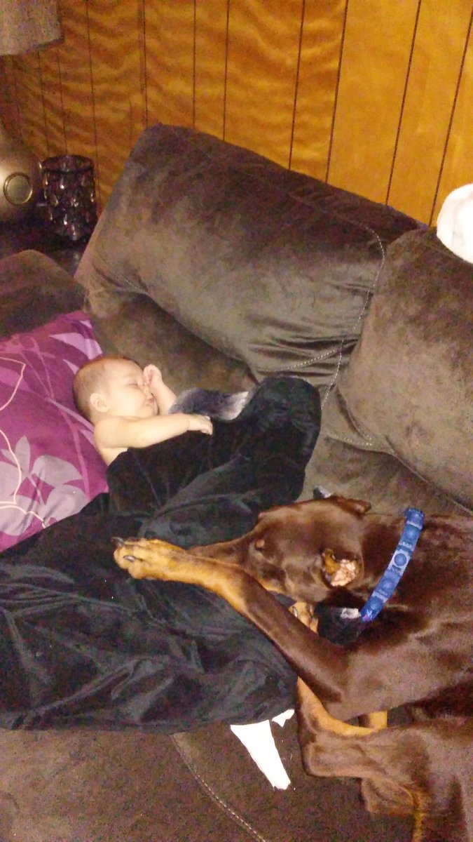 DrewV_22's tweet photo. Kane guarding his Baby girl while she's sleeping! @MaineDobieMom @Dobermanfans @DobermanPinsch3 https://t.co/DzDnFA99O4
