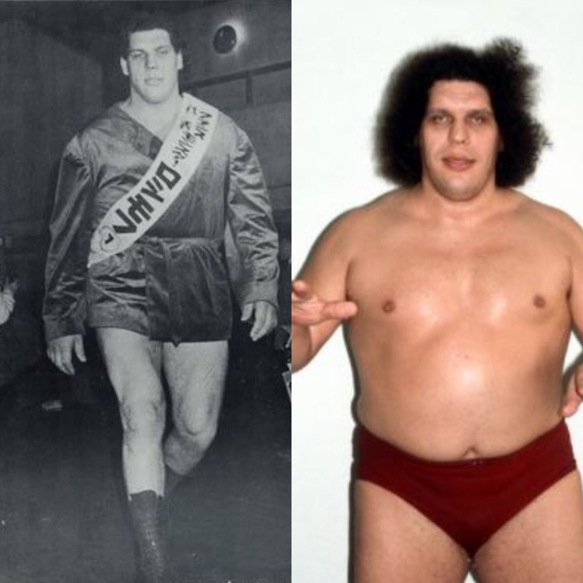 Rs山影 アンドレ ザ ジャイアント モンスターロシモフ 本名 アンドレ レネ ロシモフ Awa Nwa Wwwfを転戦 Wwf 日本では 国際プロレス 新日本プロレス 全日本プロレス 大巨人 世界8番目の不思議 人間山脈 一人民族大移動 プロレスラー Rs山影 アンドレ ザ ジャイアント モンスターロシモフ 本名 アンドレ レネ ロシモフ Awa Nwa Wwwfを転戦 Wwf 日本では 国際プロレス 新日本プロレス 全日本プロレス 大巨人 世界8番目の不思議 人間山脈 一人民族大移動 プロレスラー