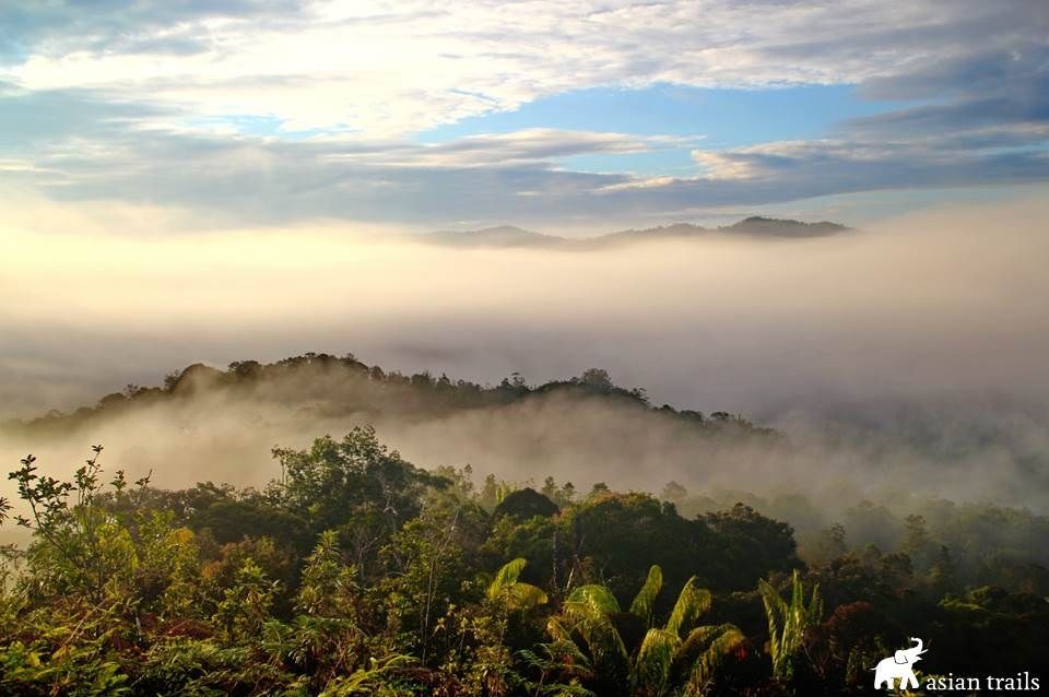 AsianTrailsLtd's tweet photo. Mountain ranges always have something spectacular up its sleeve. #Bario NP on #Sawarak is no exception. https://t.co/OEWSvYOrRE https://t.co/un8f2oBC5q