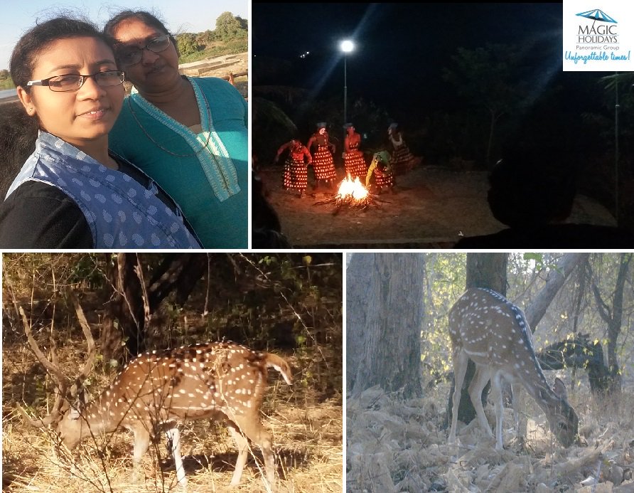 _MagicHolidays's tweet photo. Picture contributed by our esteemed member Mr. Gandhi during his holiday at Magic Holidays #Gir resort. https://t.co/TQ7fbLQyCv