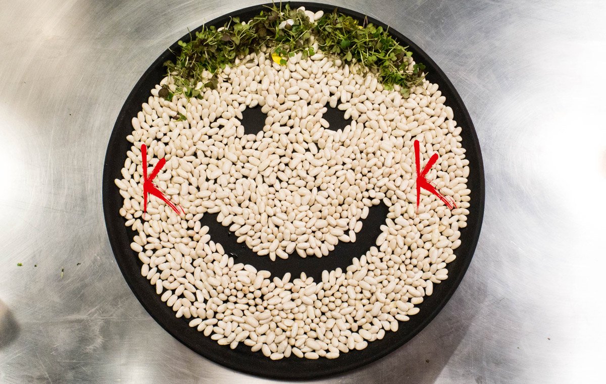 ¿Qué vida esconde la judía de El Barco de Ávila?¿Cuáles son sus aspiraciones? Conocemos en profundidad esta legumbre lakasa.es/un-cafe-con-la…