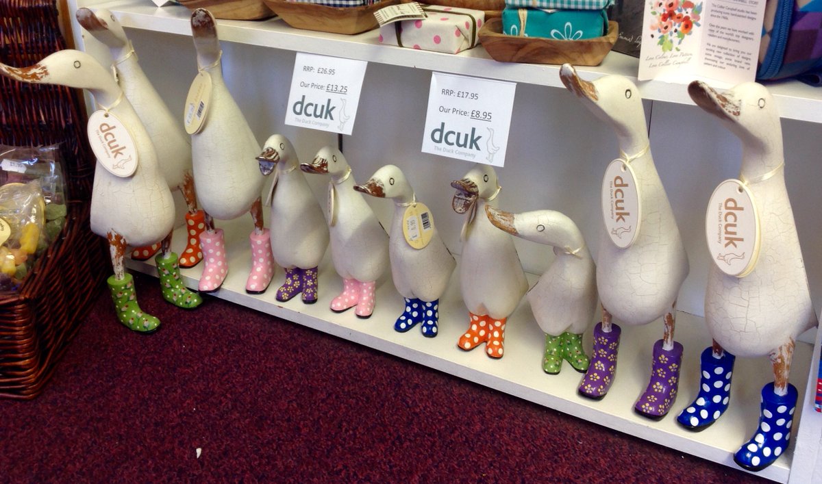 Foxy Ladies tweet media