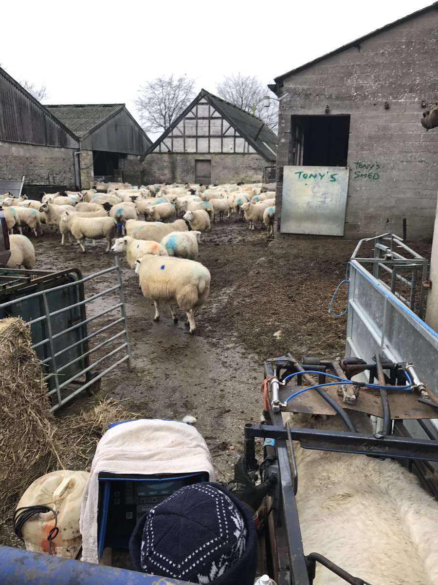 Rainbowwoodfarm photo