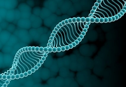 Synthetic DNA ‘could create Brexiter who is not a bellend’
thedailymash.co.uk/news/science-t…