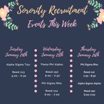 Photo by Behrend Panhellenic (@PSBPanhellenic)
