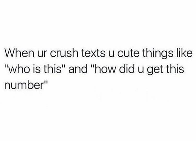 Men's Humor tweet media