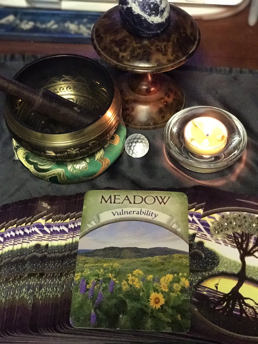 Anita915's tweet image. Meadow-Vulnerability&amp;gt;know yourself &amp;amp; no one else can harm you #dailyoracle #earthmagicoracle #IDWP #DustyWhite #meditation #meditation