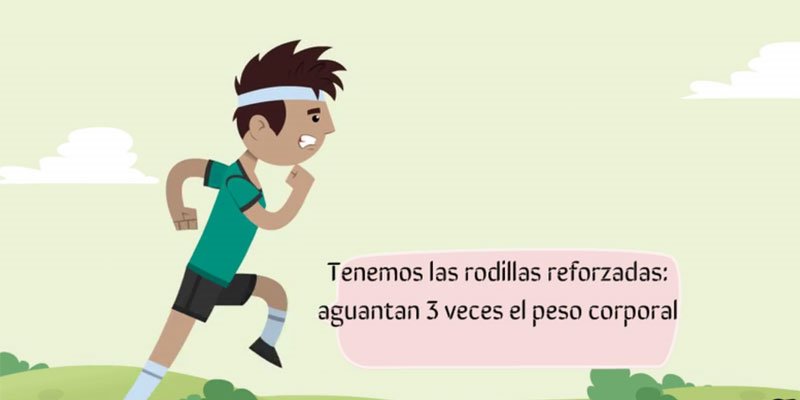 Diverciencia.es tweet media