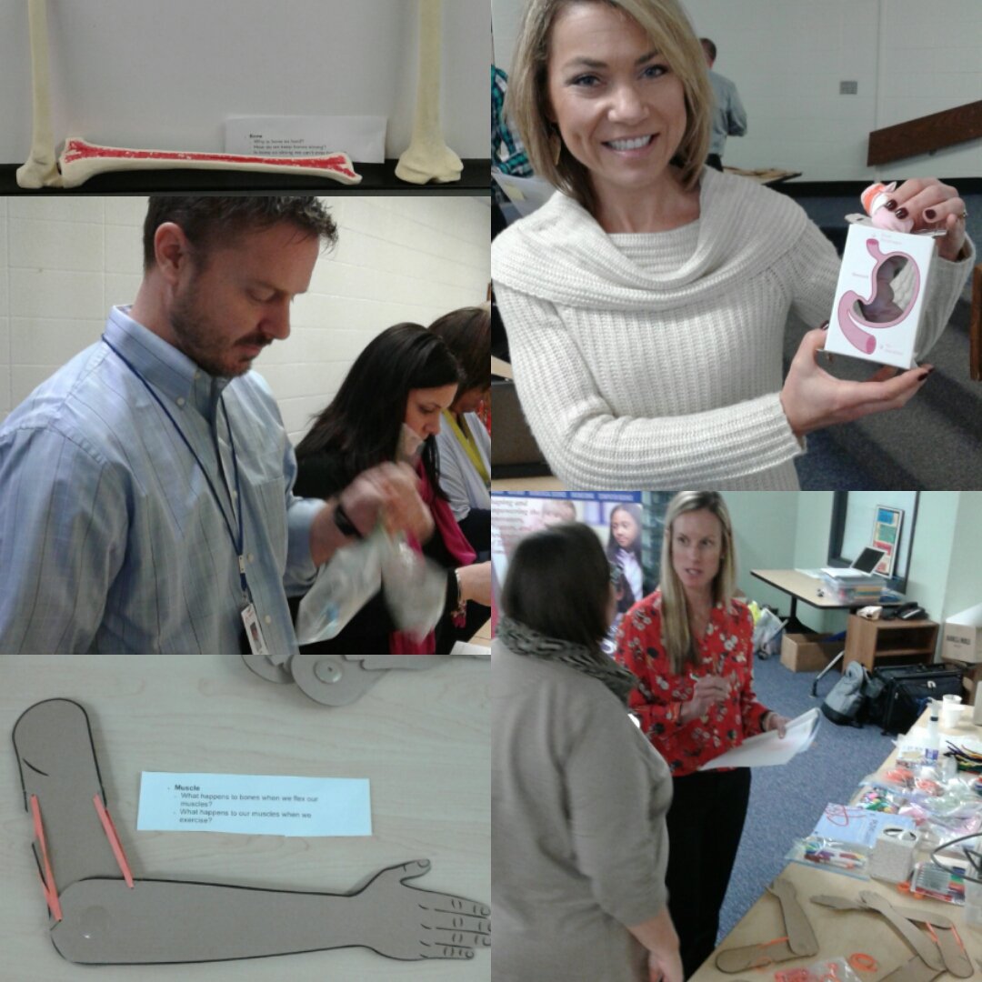 gmlovetolearn's tweet photo. Structure and Function Human Body Exploration Stations #PLTW #pltwlaunch #KGSTEM #STEM @PLTWorg @PLTW_MO @PkwyElem #STEM-R @annlopiccolo https://t.co/f4HNAlg1vd