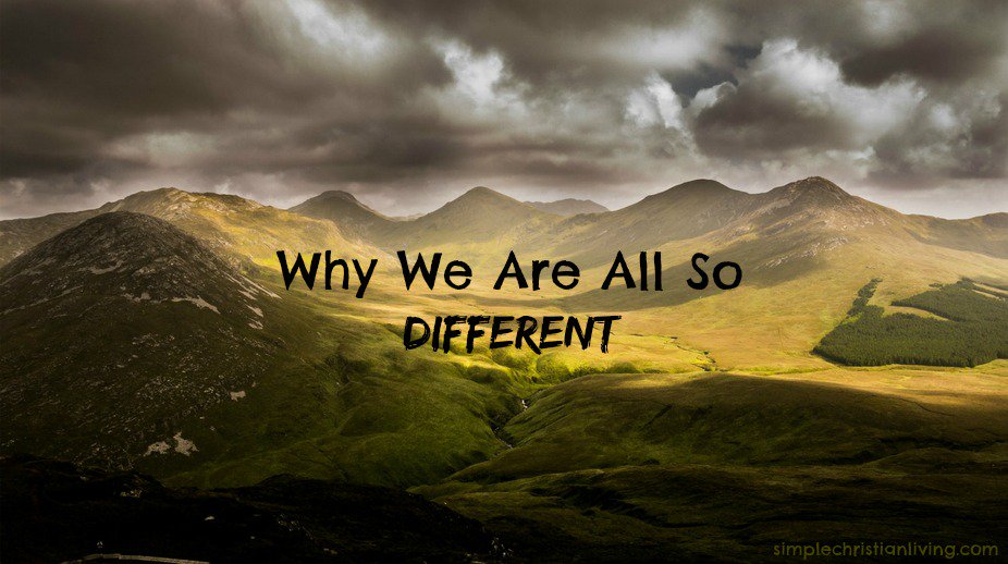 simplexnlife's tweet photo. There is a reason we are all so very different https://t.co/K7QYhRHvpd #TuesdayMotivation #OscarNoms #oscars #faith https://t.co/PomnHhdUFa