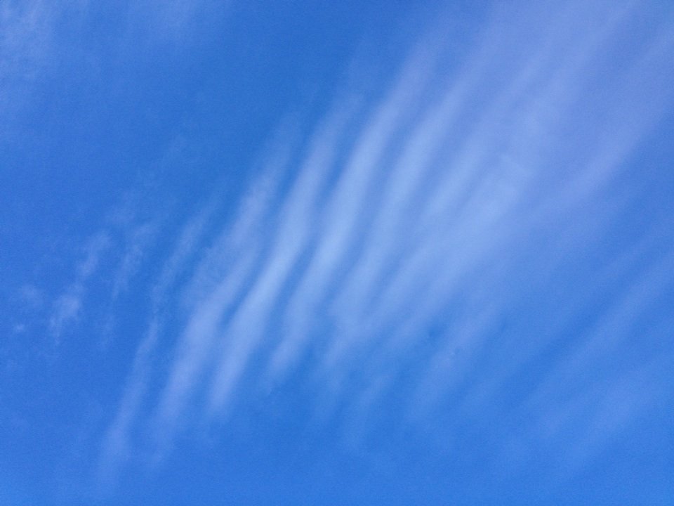 Drastic709's tweet image. Why does my phone shut off every time I film these? @SkyAnalysis @Chemtrail_Watch @geoengineering