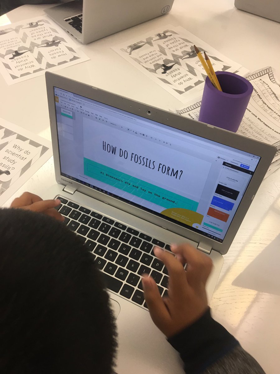 Suzy Kingsley tweet media