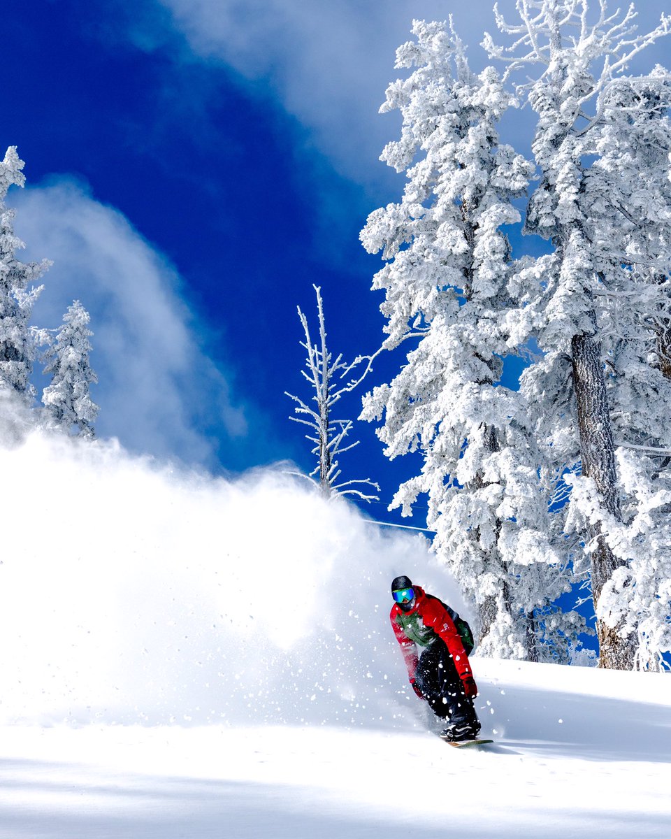 BigBearMtResort's tweet photo. The Good Stuff ❄️🏂🙌🏾💥 #BearMountain #SnowSummit #BearBuilt #SummitStyle #PowWeek #SnowiestJanuaryOnRecord 108" this month / 140" this season https://t.co/Fa7HVamwJS