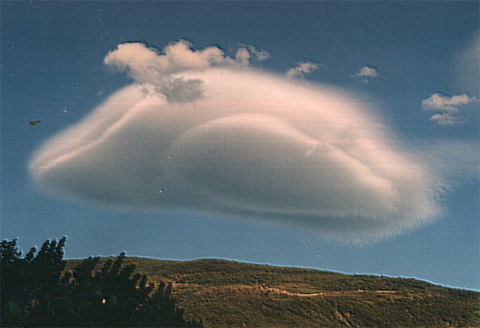 José Miguel Viñas tweet media