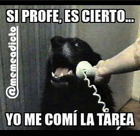 memeadicto69's tweet photo. Ojala fuese tan fácil #memeadicto #memes #risas #jaja #humor #like #lol #perro #tarea https://t.co/bPzXHPT4dj