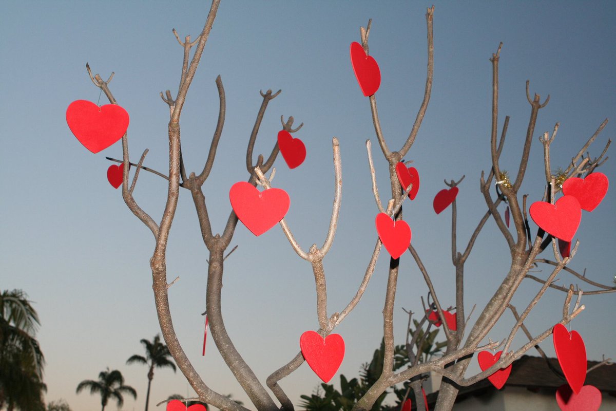 TheGuysLimFin's tweet photo. Follow us on our Facebook page @ https://t.co/rGu4EzmSUn
Stay tuned for 2 #ValentinesDay giveaways in the month of February! #groundsguys https://t.co/XpGgtbyca9