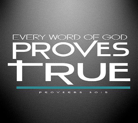 incitegrowth's tweet photo. Activate Your Trust! https://t.co/x4Zmu0iGWC https://t.co/bv0hHfpxWi