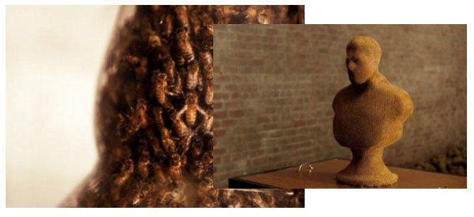 Sandra Kahn tweet media