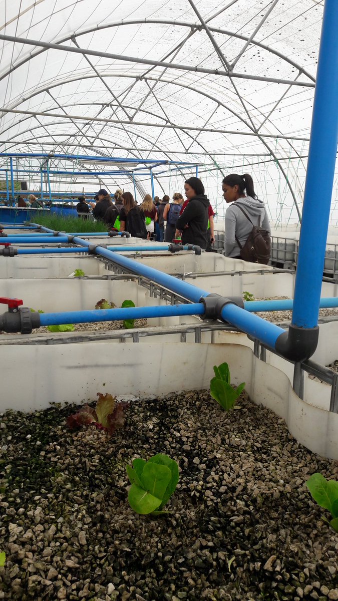 Students got to tour the #aquaculture tunnel! #2017 #StellenboschUniversity