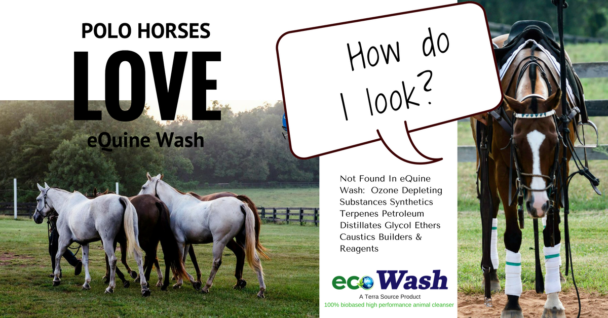MyTerraSource's tweet photo. Got horses? Introducing a revolutionary 100% biobased high performance animal cleanser https://t.co/RhBdgmTKuR - Use promo code LOVE2017 https://t.co/OZcuLin7xQ