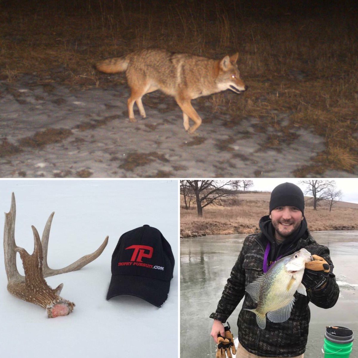 What does everyone have on their minds #shedhunting #coyotehunting #icefishing