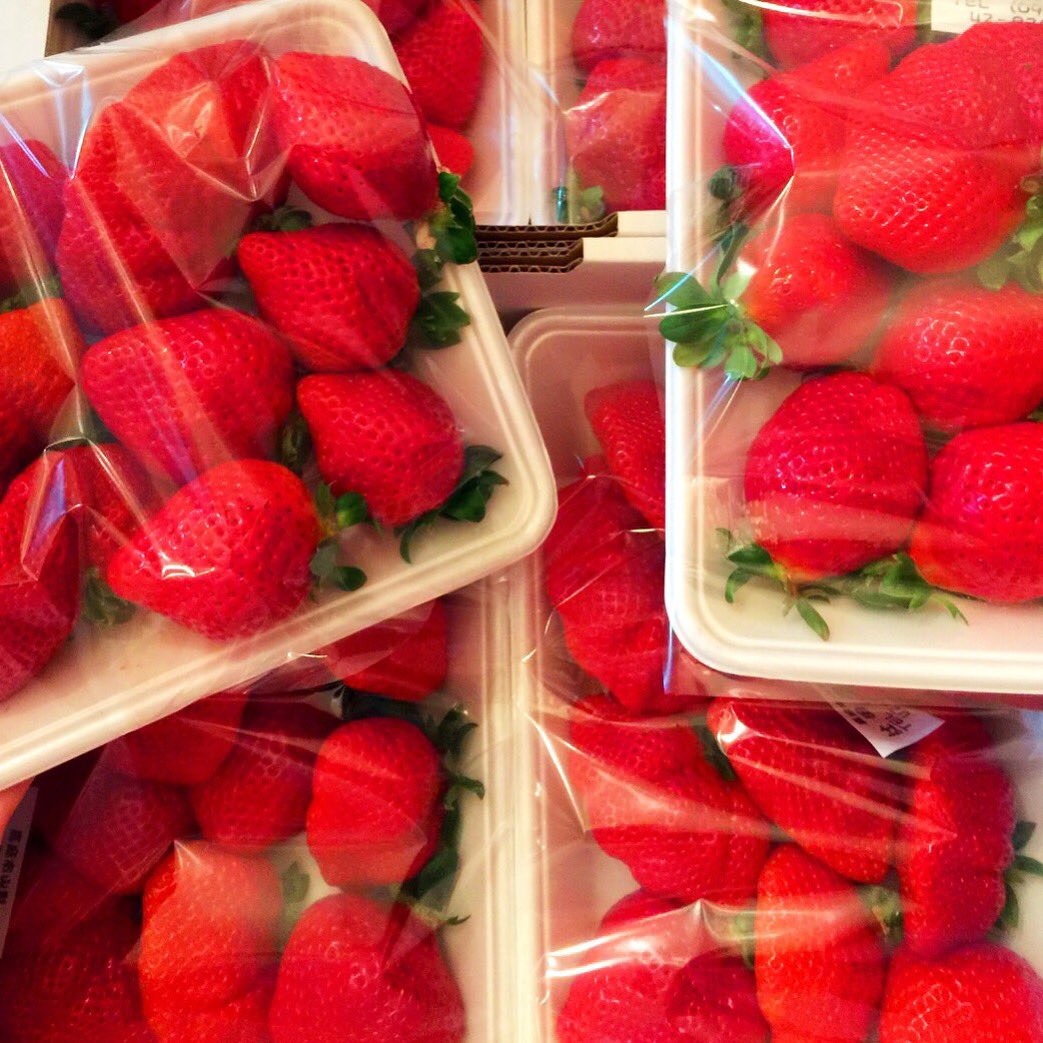 ihirananami's tweet photo. 綾ちゃん家で🍓頂いきました。うますぎたー！カラオケ行って銭湯♨️週一のくつろぎタイム https://t.co/kaD26s2CHo