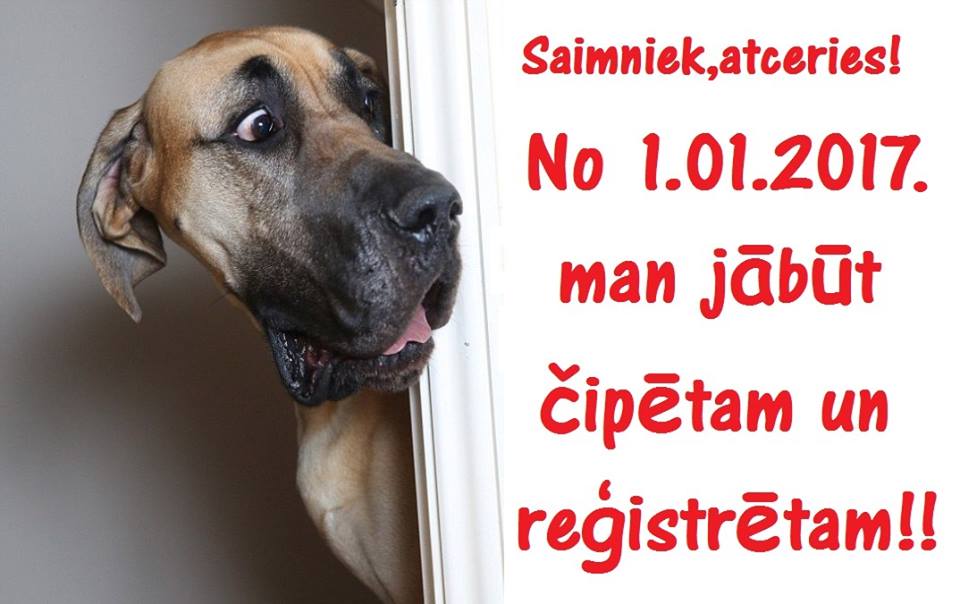 Mājas Mīlulis SOS (@majasmilulissos) on Twitter photo 