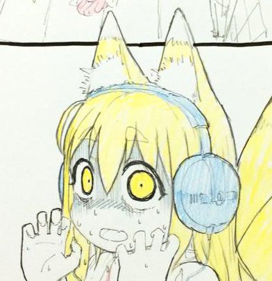 あんまりまともじゃない狐 