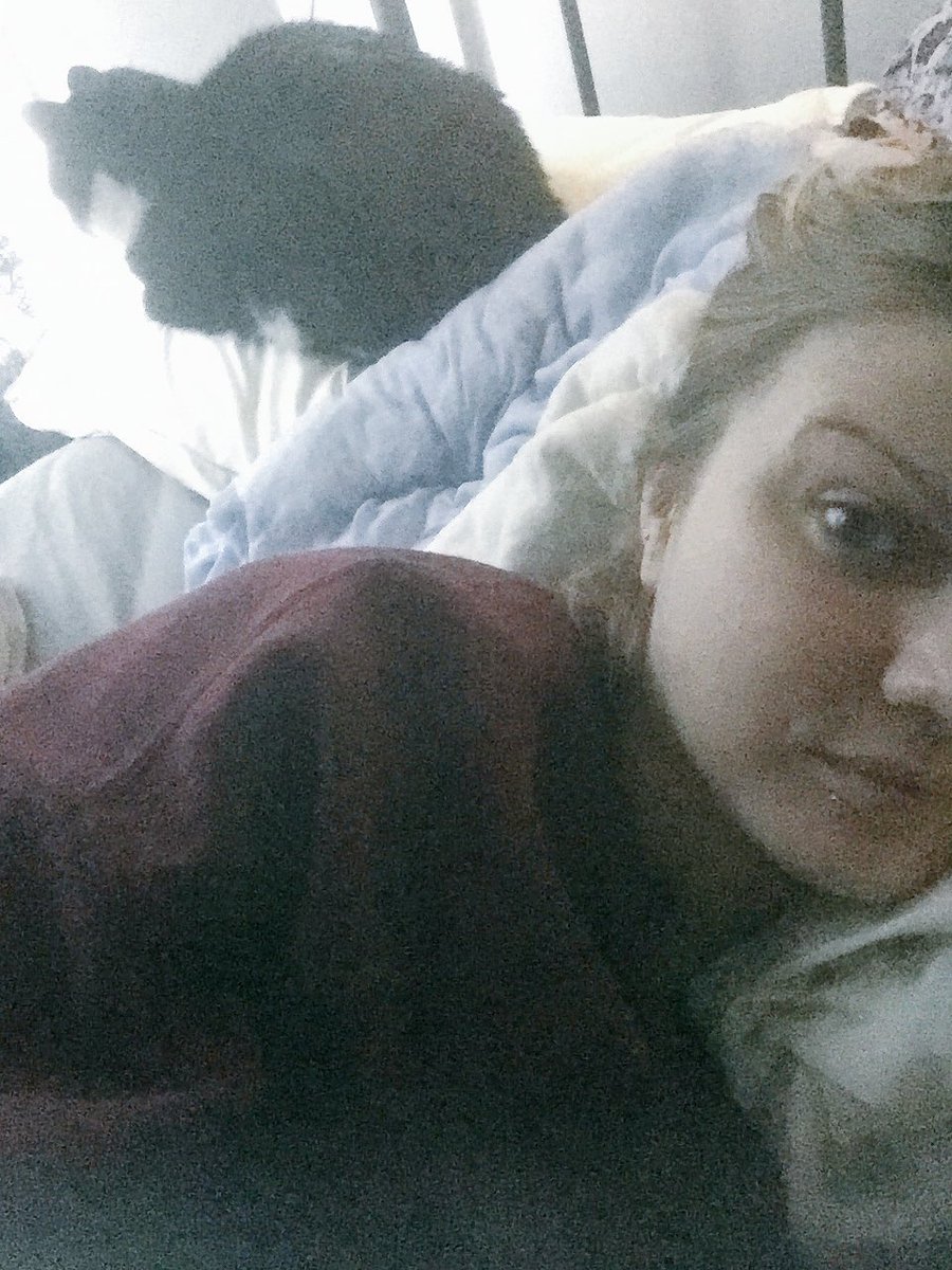 th3letterq's tweet photo. My cats ignoring me. #CatsOfTwitter #oneeyedcat #assinface #nolove https://t.co/lqIwf8x0rI