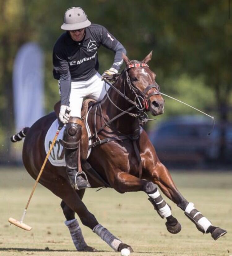 PoloArgentinotw's tweet photo. #Recuerdos #TorneoCriadores #2015 https://t.co/tZDBSBuUYF