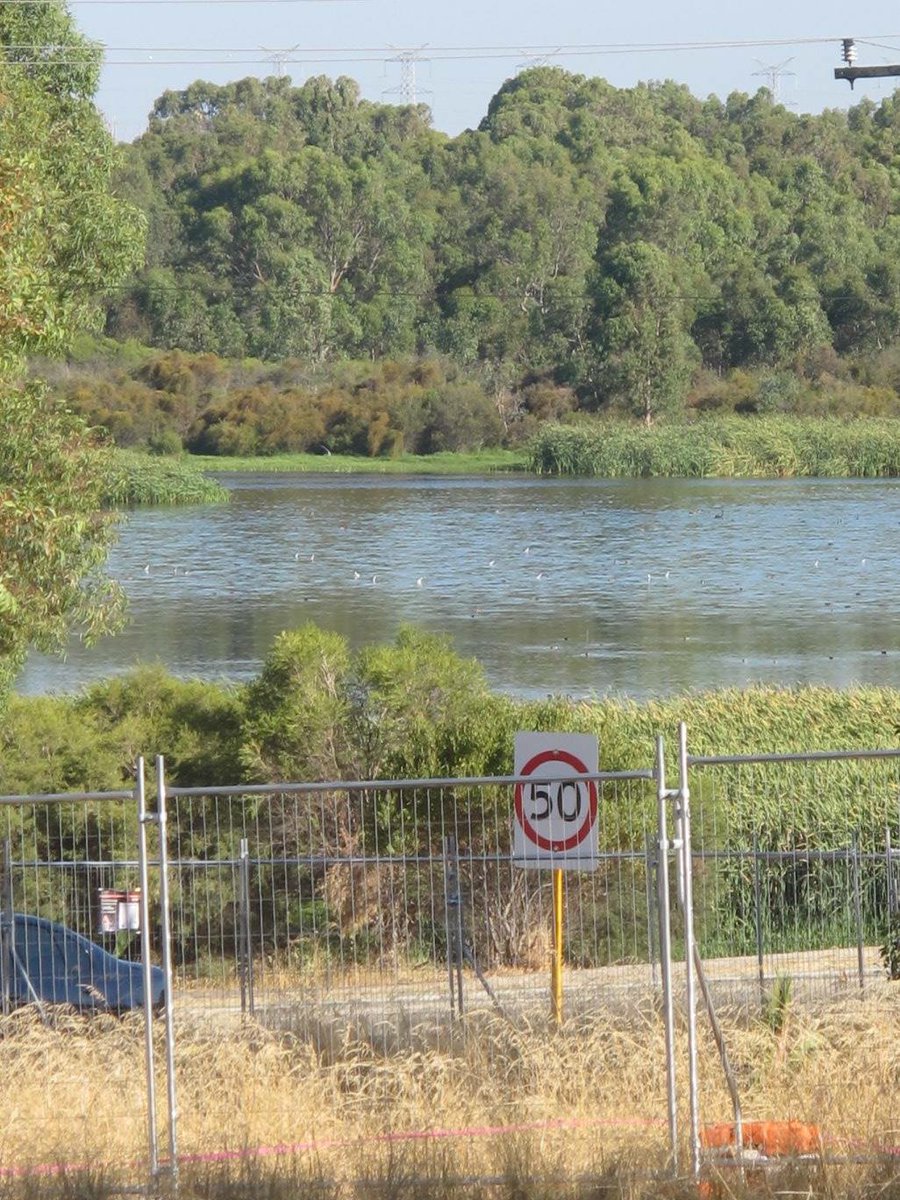 karla_dilazzaro's tweet photo. #JustanotherdayinWA WApremier 😷 @ColinBarnett destroying the sacred beeliar wetlands😕😫 #roe8 #NoRoe8 sacred aboriginal land @RethinkTheLink https://t.co/BpmY9fATZT