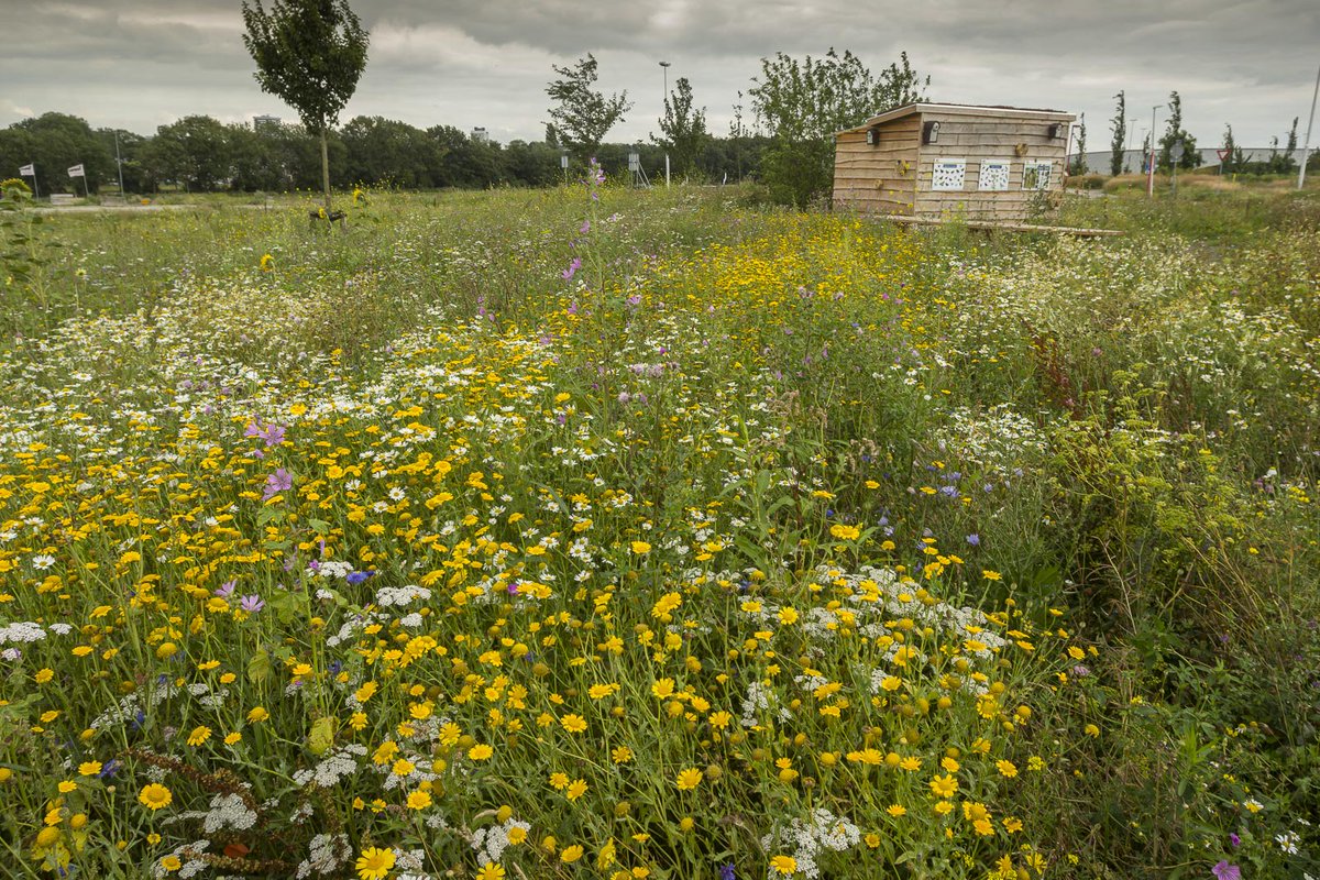 E_van_den_Ham's tweet photo. #European #Award for #Ecological #Gardening 2017
Put your own project on the international stage.

https://t.co/wujPgNiFnX https://t.co/Tp2mq4XRZ6