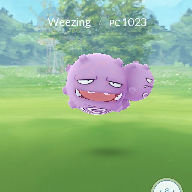 #Weezing 💣 #Pokemon #PokemonGo #PokemonGoMexico #PokemonGoMorelia @PokemonGo_Mex <a href="/PokemonGoMexico/">Pokemon Go Mexico</a> <a href="/Pokemon_CDMX/">PokémonGoCDMX</a> <a href="/Afreaksj/">Afreaks</a>