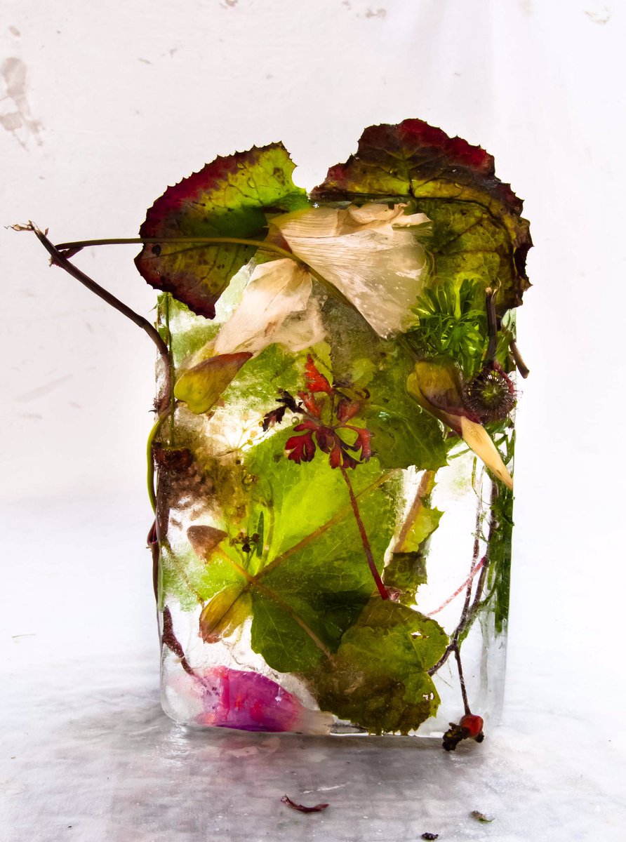 Molina Contemporary presents Marisa Culatto at the Hospital Club 29 January - 2 April <a href="/molinacontempo/">MOLINA CONTEMPORARY</a> @TheHospitalClub