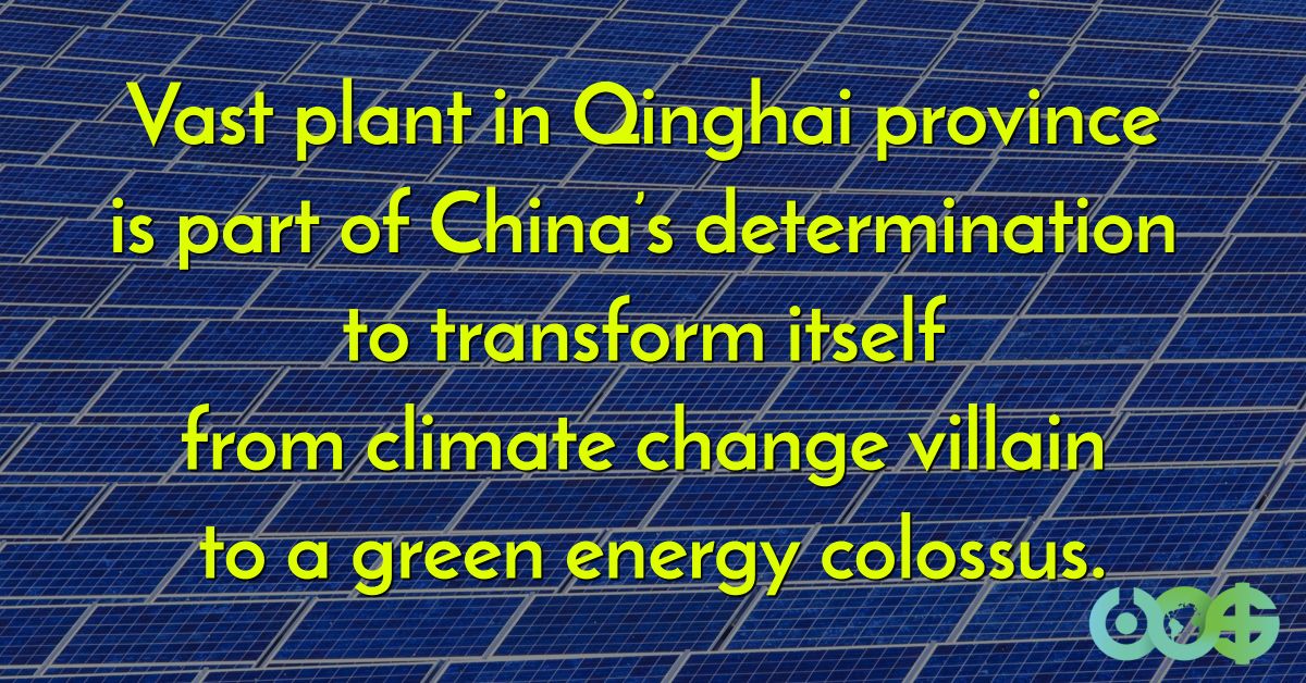 IgnacioMls's tweet photo. #China builds world's biggest #solar farm in journey to become #green superpower https://t.co/OFv2aGYl8w #imping #renewables https://t.co/PflCZraLYO