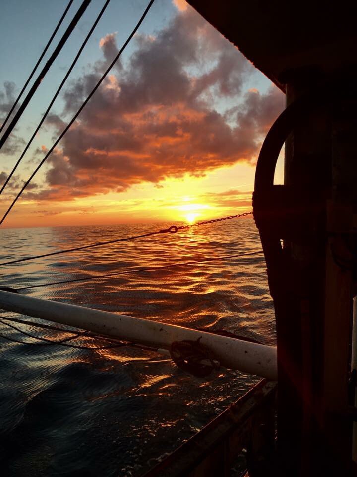 Beautiful morning on board More Seafoods boat "Speculate"👌